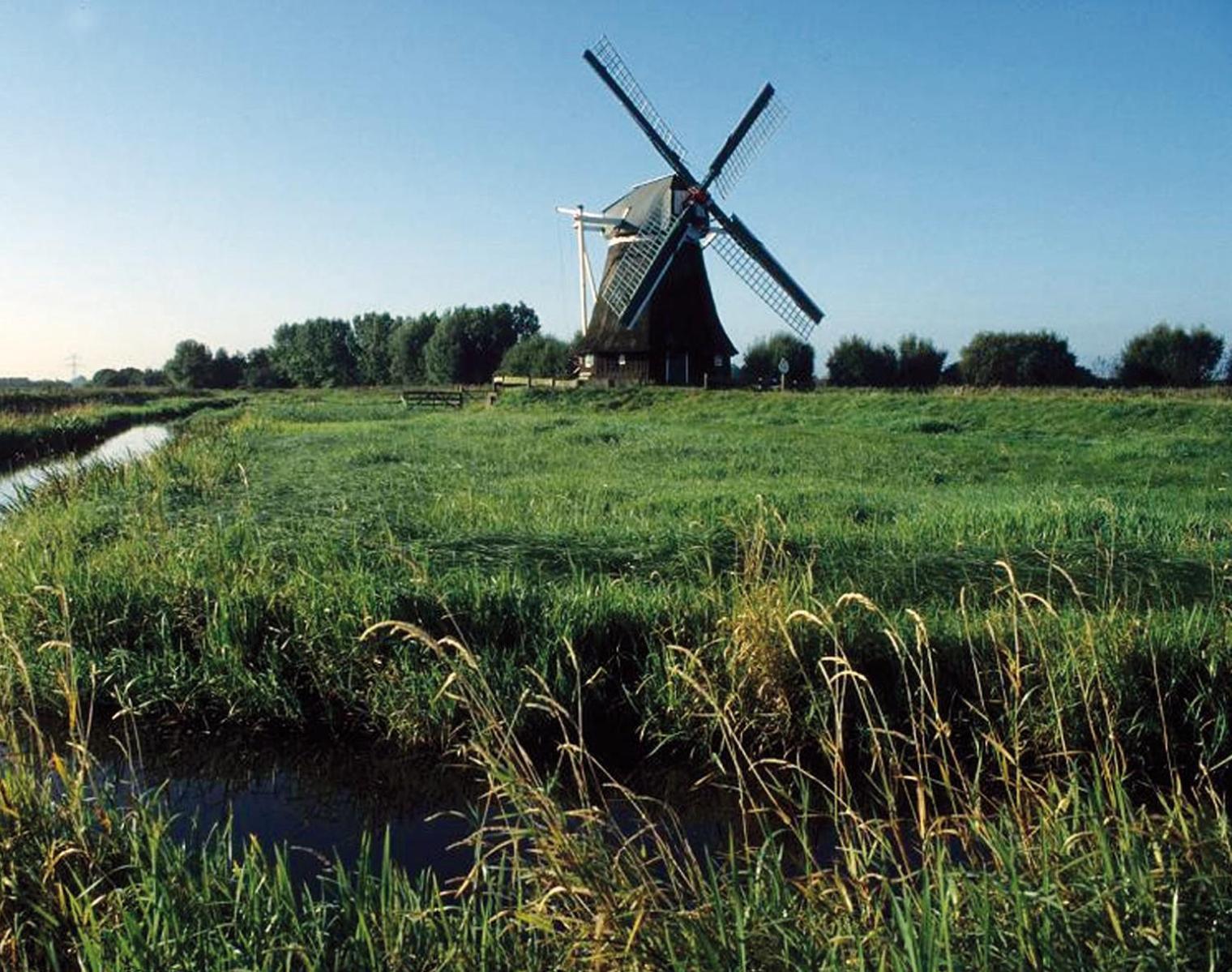 Vogelnest Appartement Hage Buitenkant foto